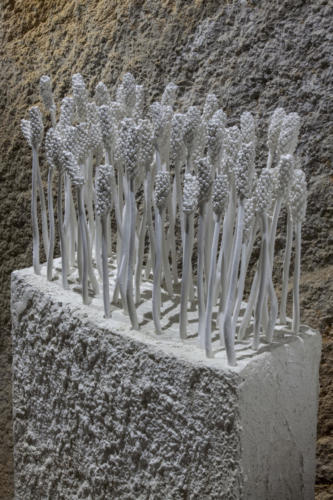 Semi — Composizione 1